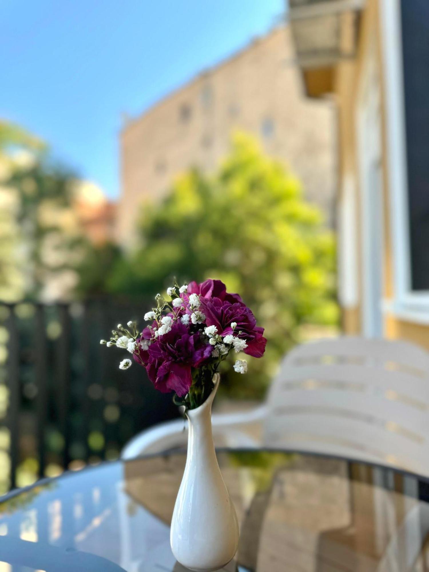Vila Panto Tiranë Luaran gambar